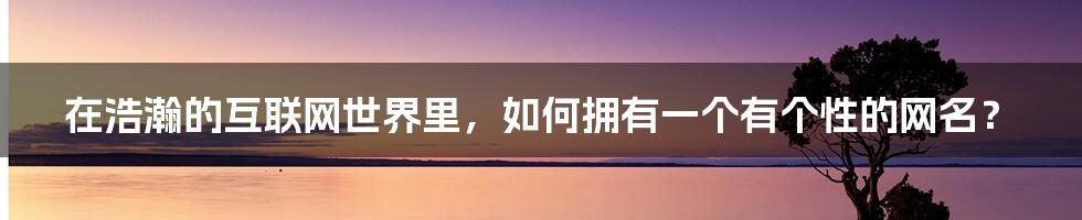 在浩瀚的互联网世界里，如何拥有一个有个性的网名？