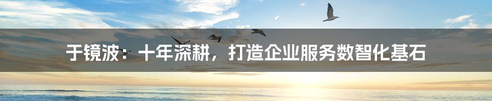 于镜波：十年深耕，打造企业服务数智化基石