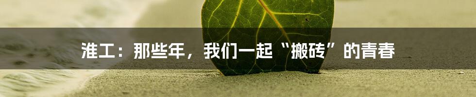 淮工：那些年，我们一起“搬砖”的青春