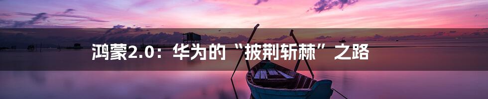 鸿蒙2.0：华为的“披荆斩棘”之路