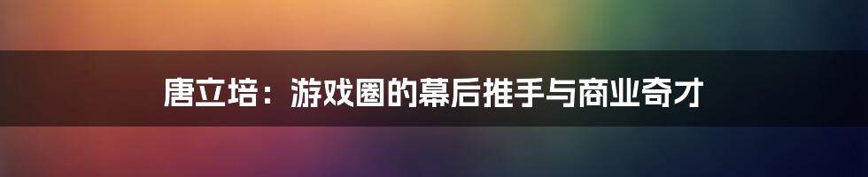 唐立培：游戏圈的幕后推手与商业奇才