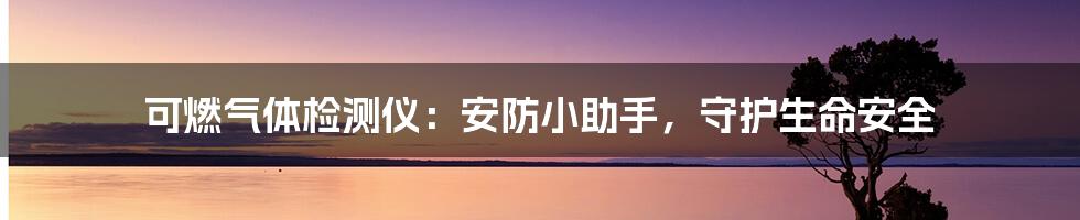 可燃气体检测仪：安防小助手，守护生命安全