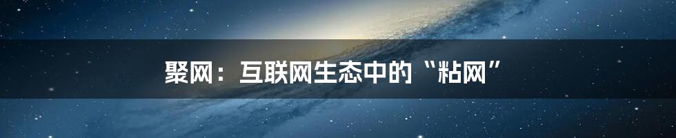 聚网：互联网生态中的“粘网”