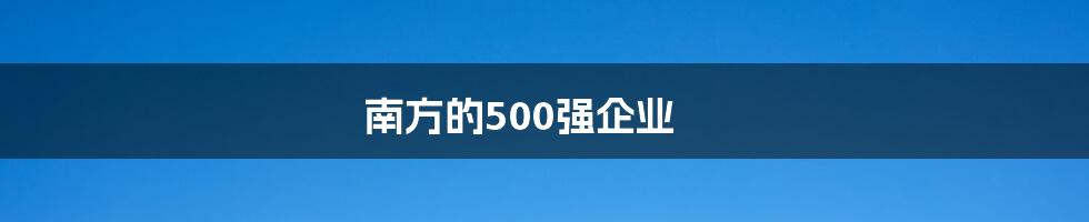 南方的500强企业