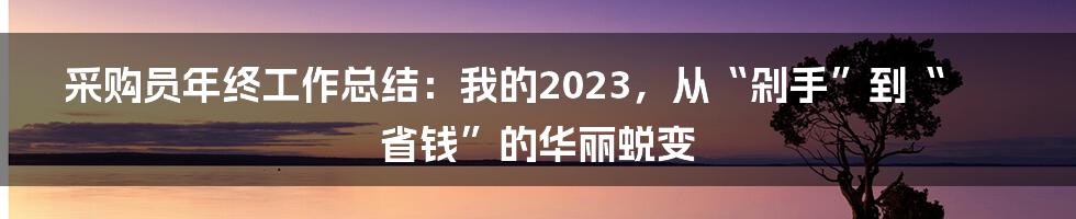 采购员年终工作总结：我的2023，从“剁手”到“省钱”的华丽蜕变