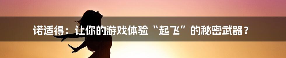 诺适得：让你的游戏体验“起飞”的秘密武器？