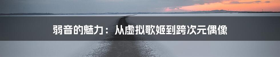 弱音的魅力：从虚拟歌姬到跨次元偶像