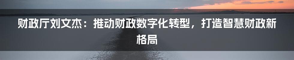 财政厅刘文杰：推动财政数字化转型，打造智慧财政新格局