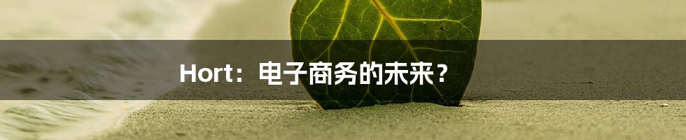 Hort：电子商务的未来？