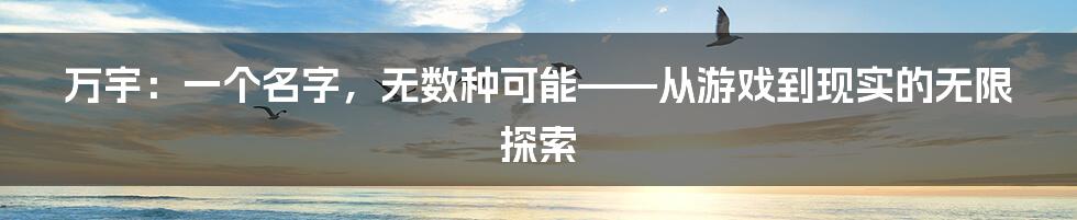 万宇：一个名字，无数种可能——从游戏到现实的无限探索