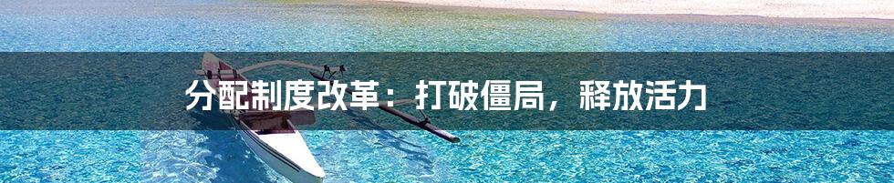 分配制度改革：打破僵局，释放活力