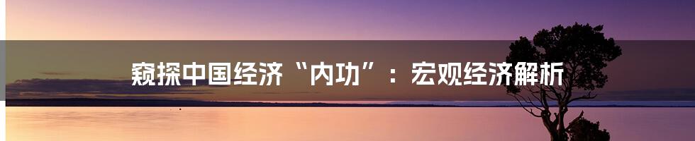 窥探中国经济“内功”：宏观经济解析