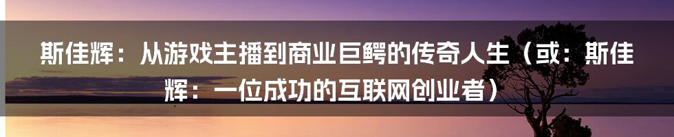 斯佳辉：从游戏主播到商业巨鳄的传奇人生（或：斯佳辉：一位成功的互联网创业者）