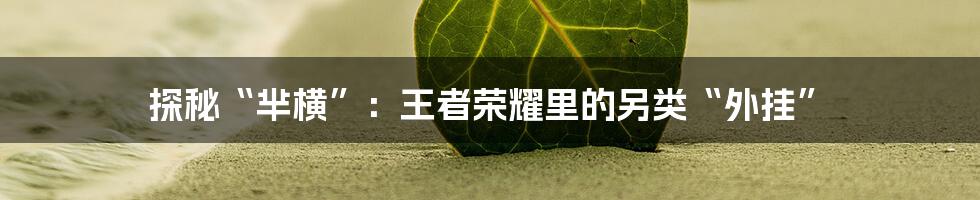 探秘“芈横”：王者荣耀里的另类“外挂”