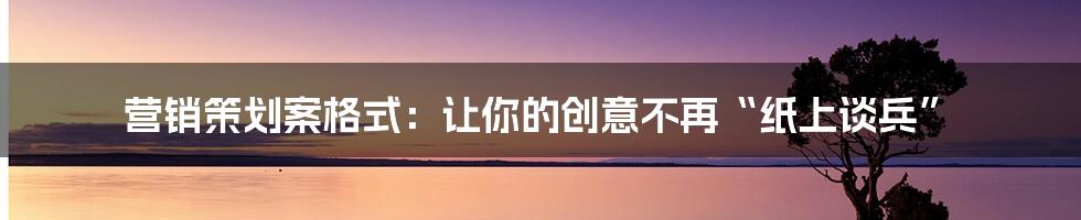 营销策划案格式：让你的创意不再“纸上谈兵”