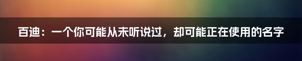 百迪：一个你可能从未听说过，却可能正在使用的名字