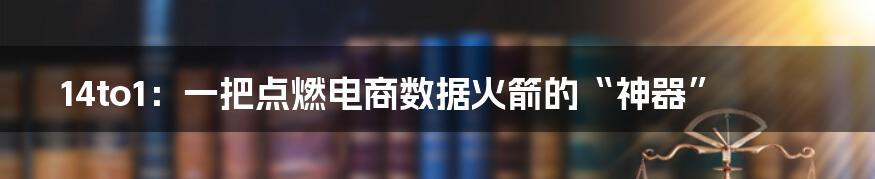 14to1：一把点燃电商数据火箭的“神器”