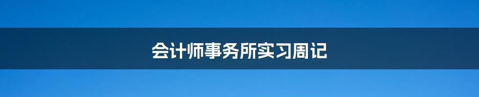 会计师事务所实习周记