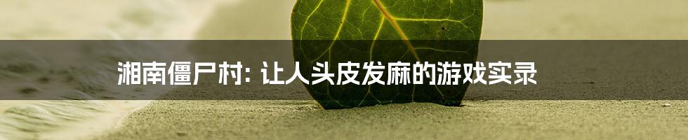 湘南僵尸村: 让人头皮发麻的游戏实录