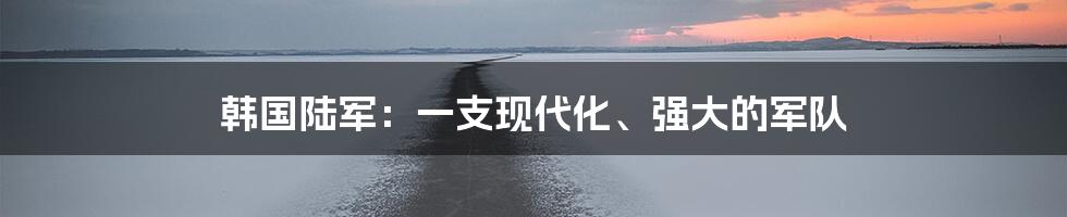 韩国陆军：一支现代化、强大的军队