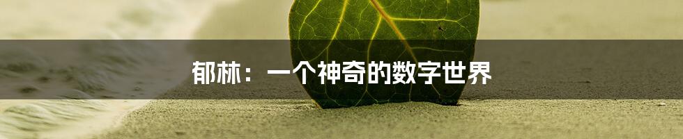 郁林：一个神奇的数字世界