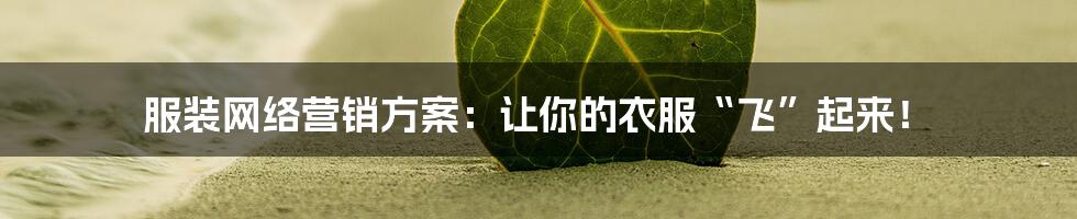 服装网络营销方案：让你的衣服“飞”起来！