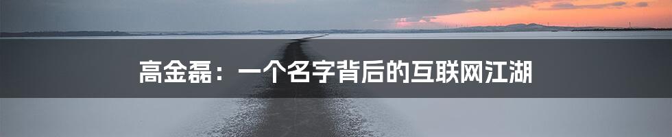 高金磊：一个名字背后的互联网江湖