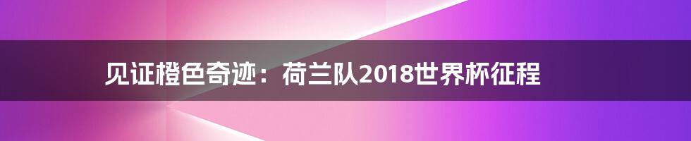 见证橙色奇迹：荷兰队2018世界杯征程