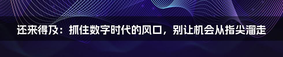 还来得及：抓住数字时代的风口，别让机会从指尖溜走