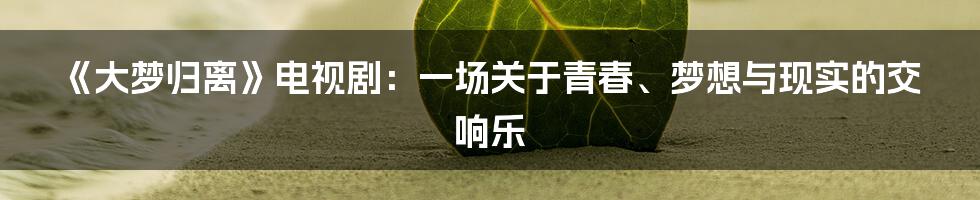 《大梦归离》电视剧：一场关于青春、梦想与现实的交响乐