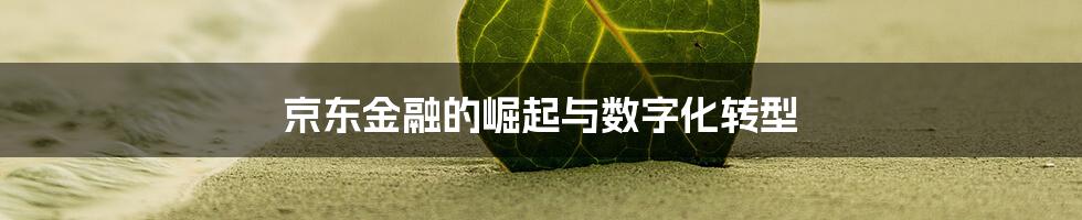 京东金融的崛起与数字化转型