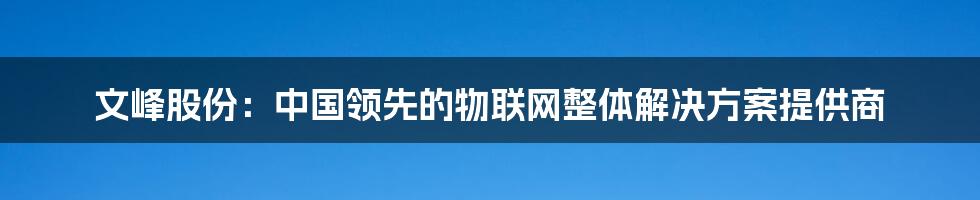 文峰股份：中国领先的物联网整体解决方案提供商