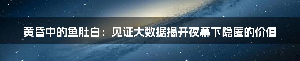 黄昏中的鱼肚白：见证大数据揭开夜幕下隐匿的价值