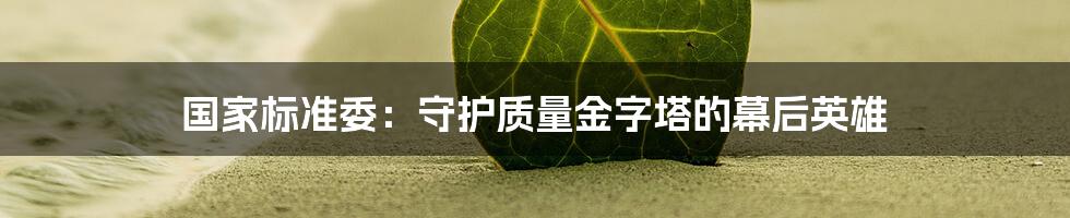 国家标准委：守护质量金字塔的幕后英雄