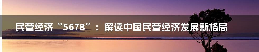 民营经济“5678”：解读中国民营经济发展新格局