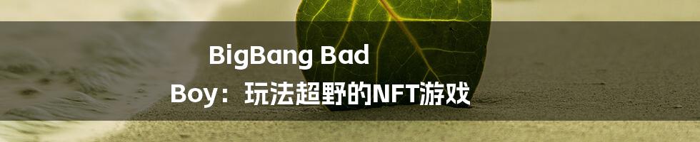 BigBang Bad Boy：玩法超野的NFT游戏