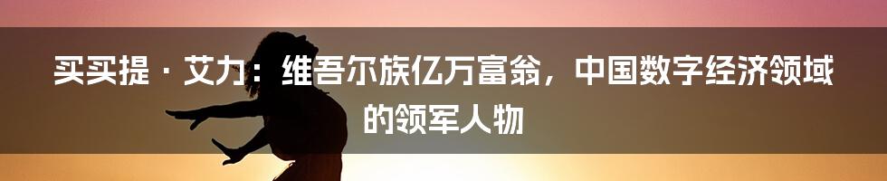 买买提·艾力：维吾尔族亿万富翁，中国数字经济领域的领军人物