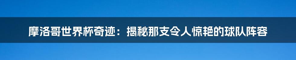 摩洛哥世界杯奇迹：揭秘那支令人惊艳的球队阵容