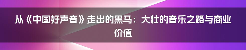 从《中国好声音》走出的黑马：大壮的音乐之路与商业价值