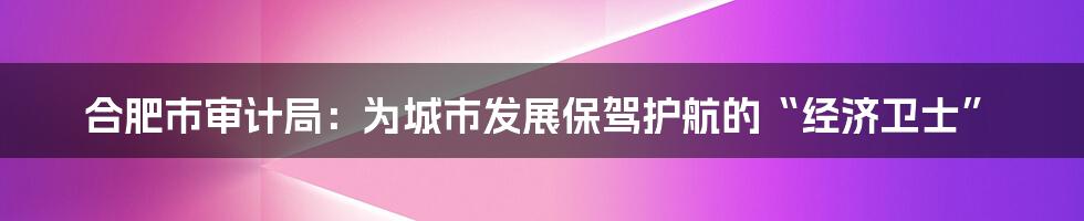 合肥市审计局：为城市发展保驾护航的“经济卫士”