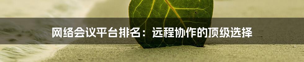 网络会议平台排名：远程协作的顶级选择