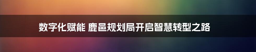 数字化赋能 鹿邑规划局开启智慧转型之路