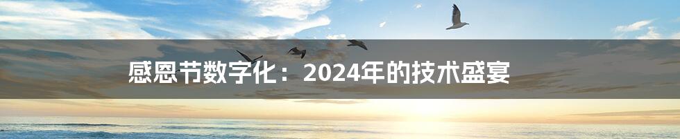 感恩节数字化：2024年的技术盛宴