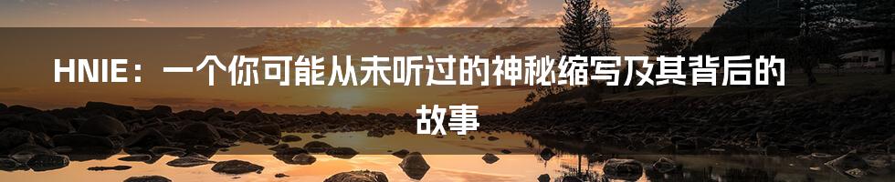 HNIE：一个你可能从未听过的神秘缩写及其背后的故事