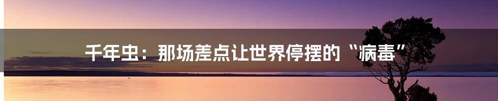 千年虫：那场差点让世界停摆的“病毒”