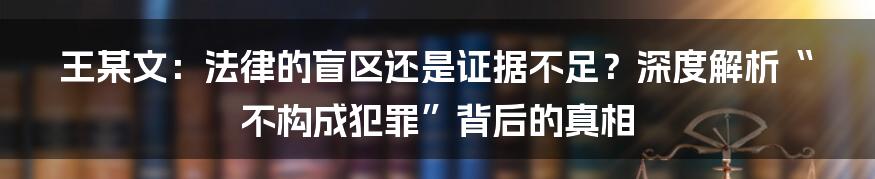 王某文：法律的盲区还是证据不足？深度解析“不构成犯罪”背后的真相