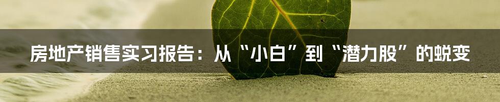 房地产销售实习报告：从“小白”到“潜力股”的蜕变