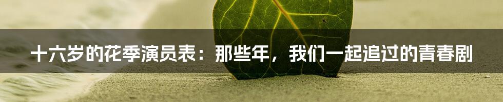 十六岁的花季演员表：那些年，我们一起追过的青春剧