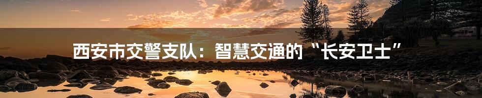 西安市交警支队：智慧交通的“长安卫士”