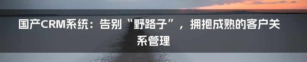 国产CRM系统：告别“野路子”，拥抱成熟的客户关系管理